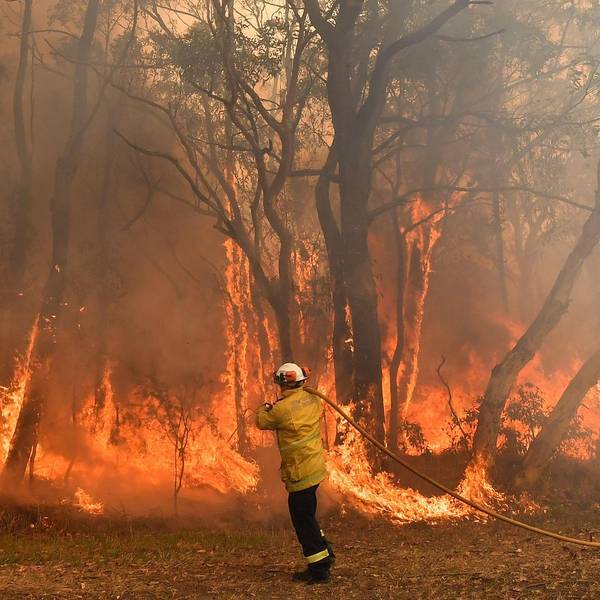 Gegenfeuer Australien