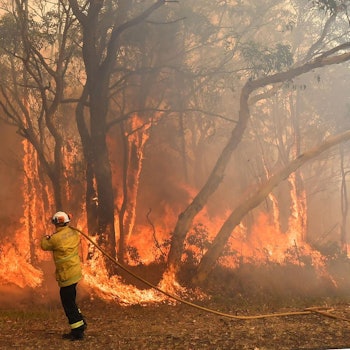 Gegenfeuer Australien