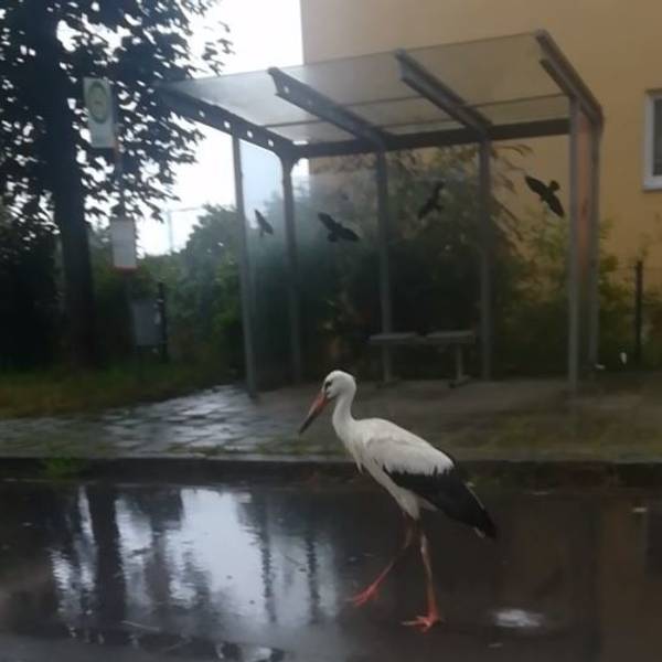 Neuer Inhalt
