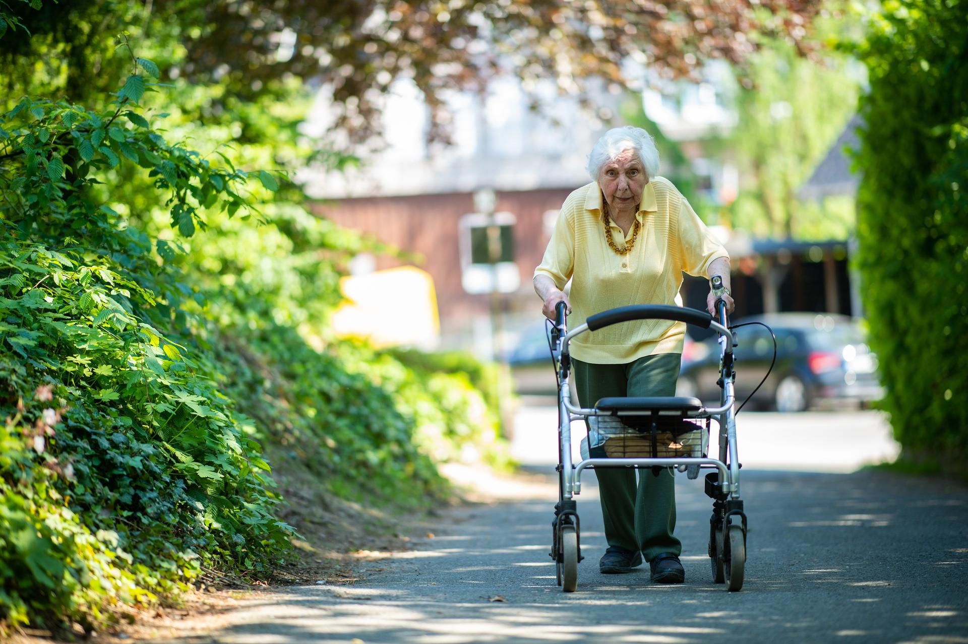 Rollator-DAme 2