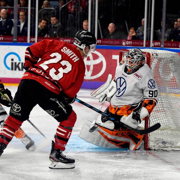 Eishockey Haie Grizzlys