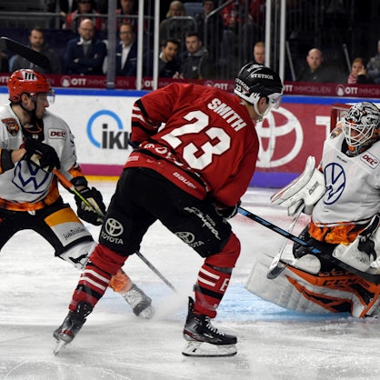 Eishockey Haie Grizzlys