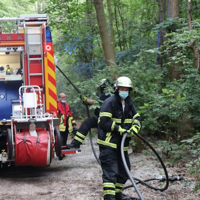 huerth_feuer_wald_mkl_5