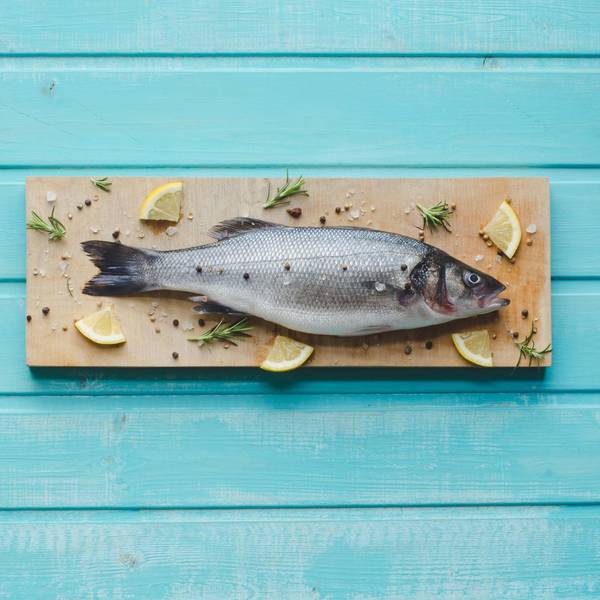 Fisch vor blauem Hintergrund