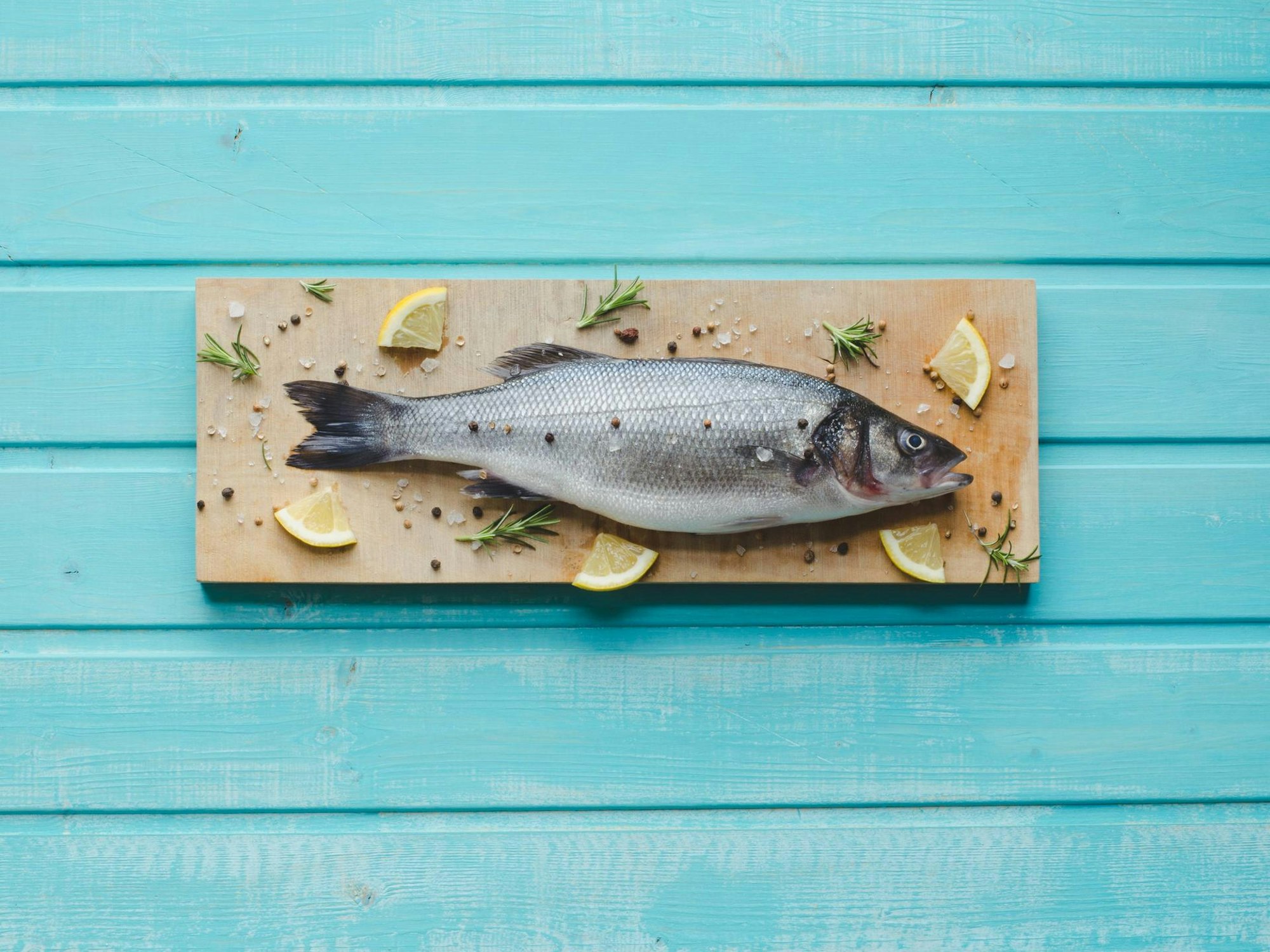 Fisch vor blauem Hintergrund