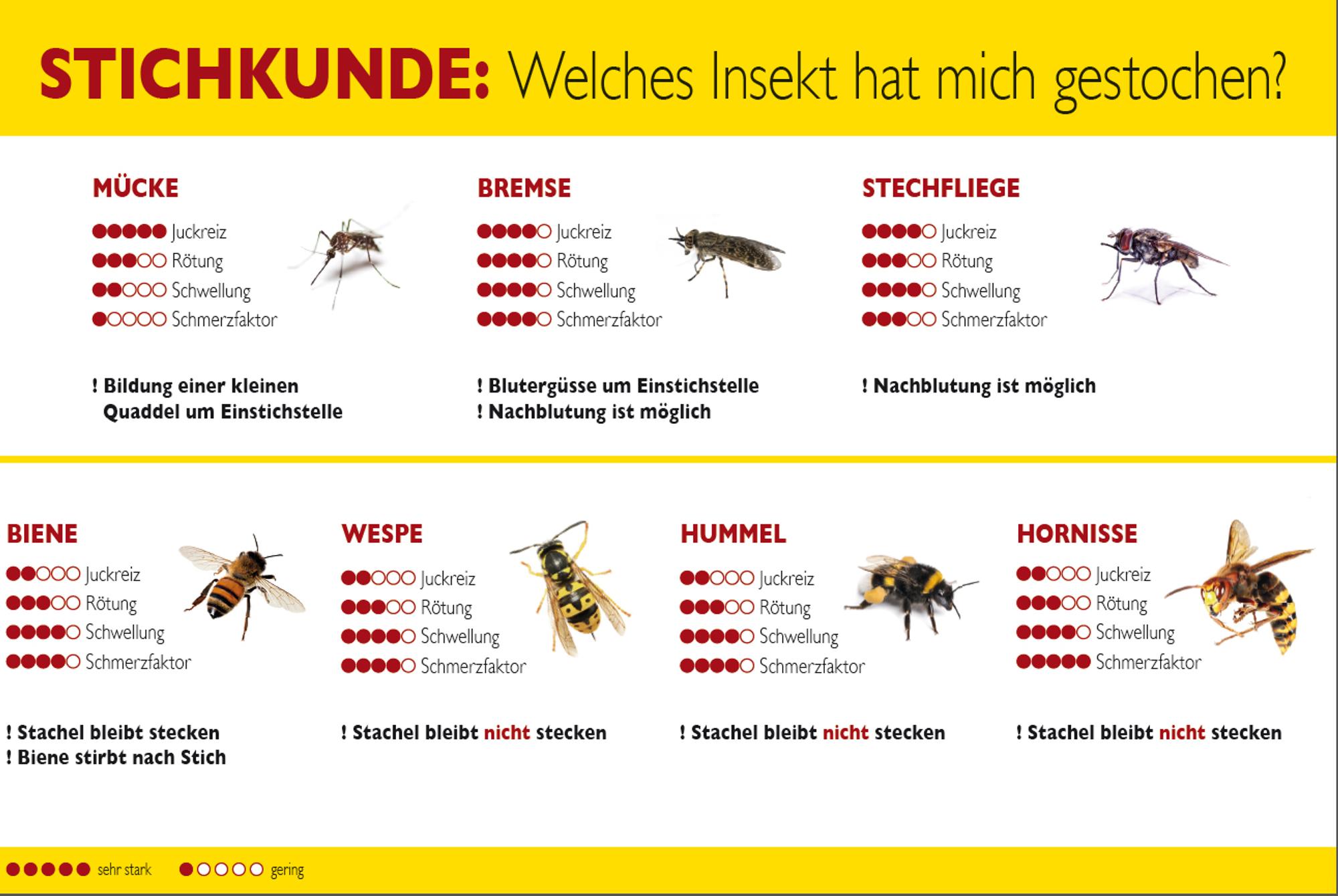 Insektenstich_Übersicht