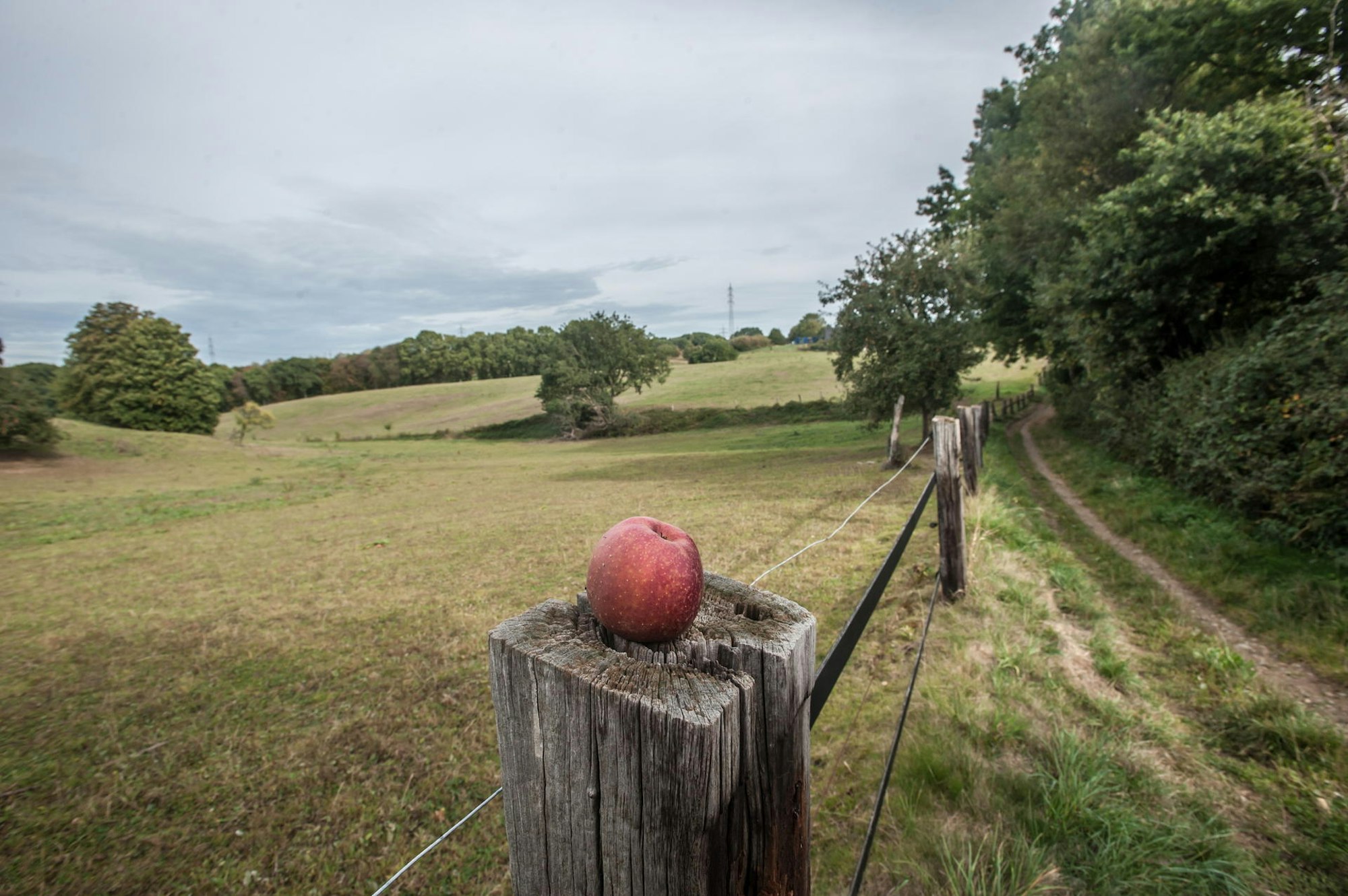 leverkusen-heimatcheck-ALF_6285