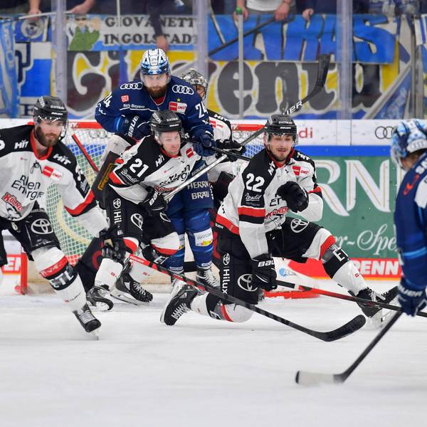 haie ingolstadt