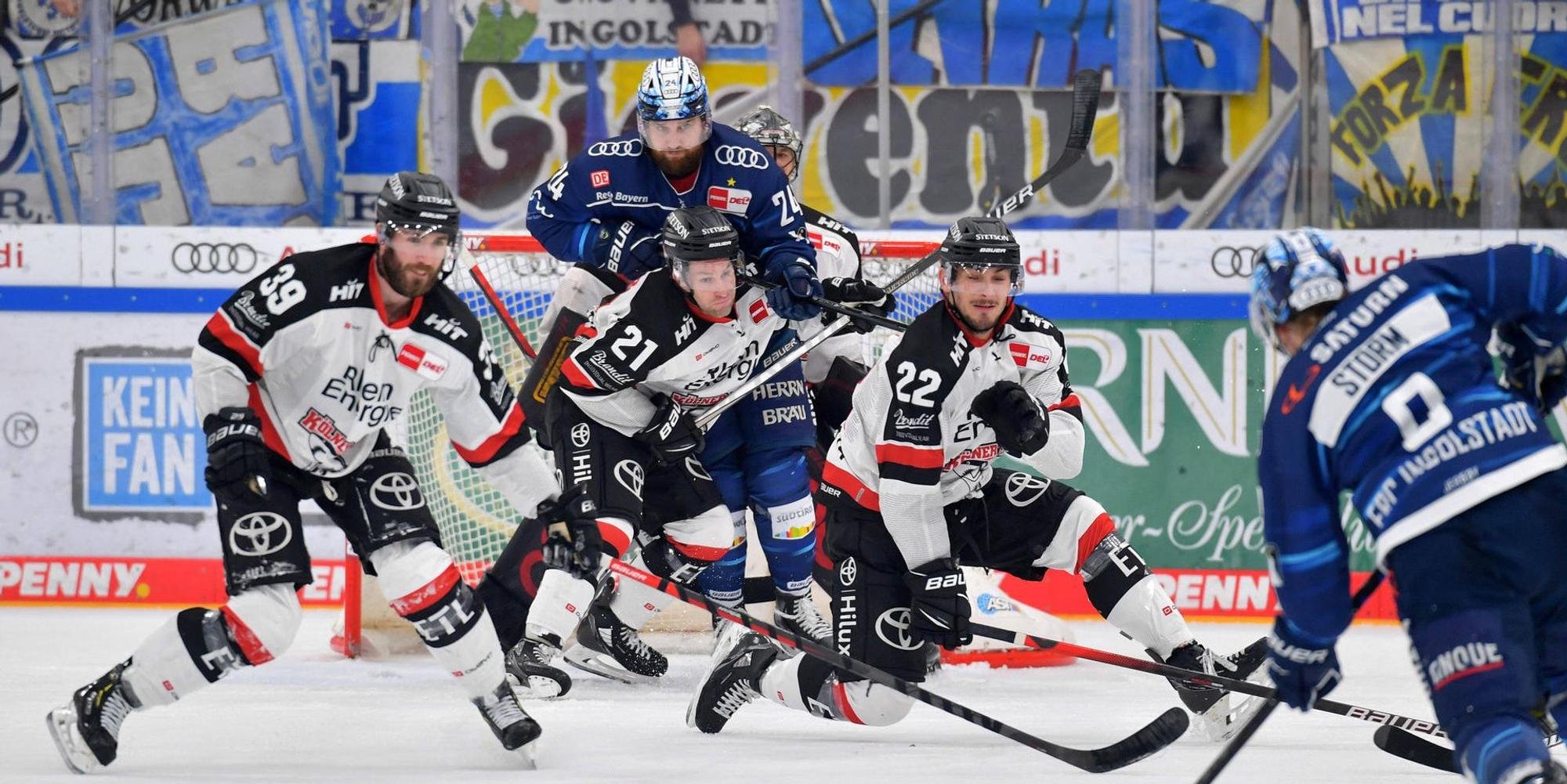 haie ingolstadt
