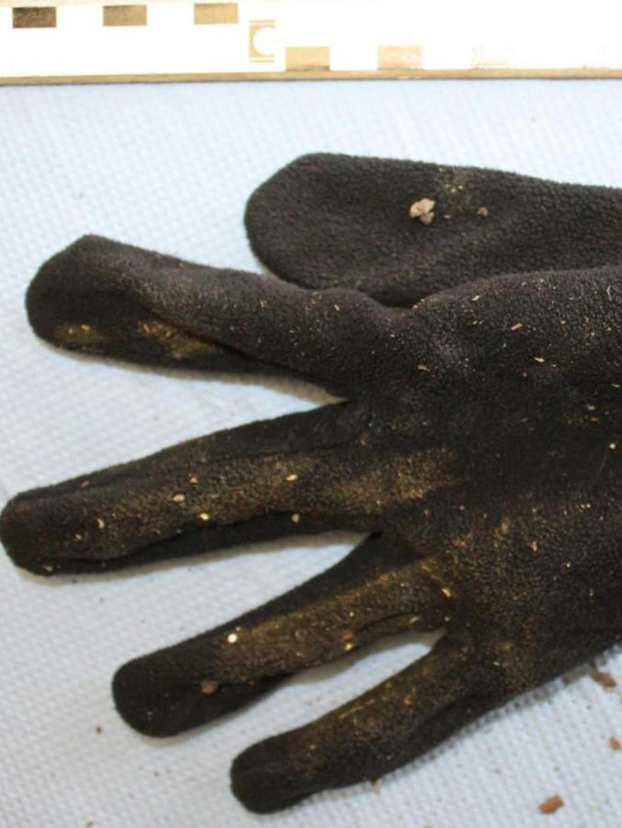 Handschuh