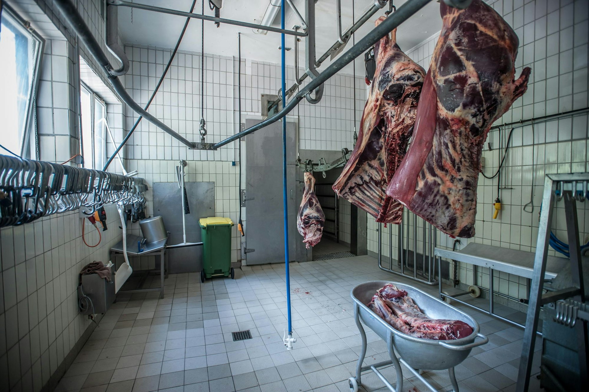 schlachthaus-herrmann-ALF_4619