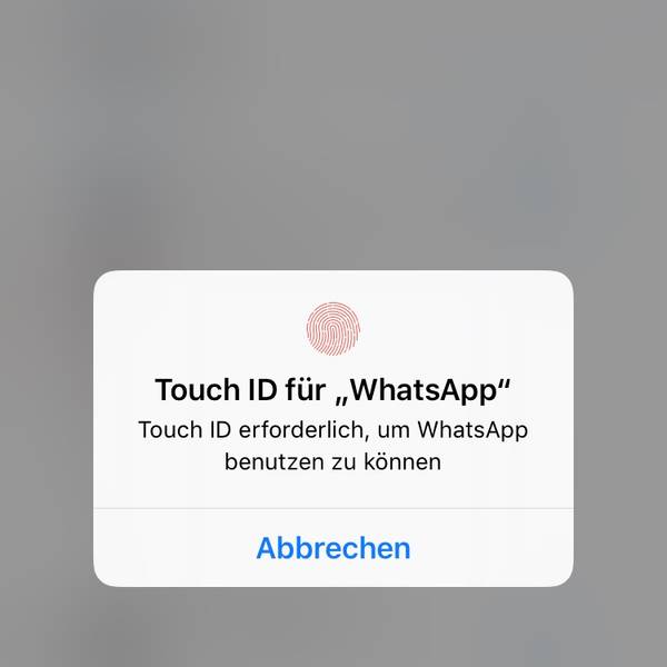 Neuer Inhalt