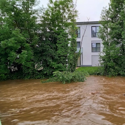 Flut-Schoenenborn,_Hildegard