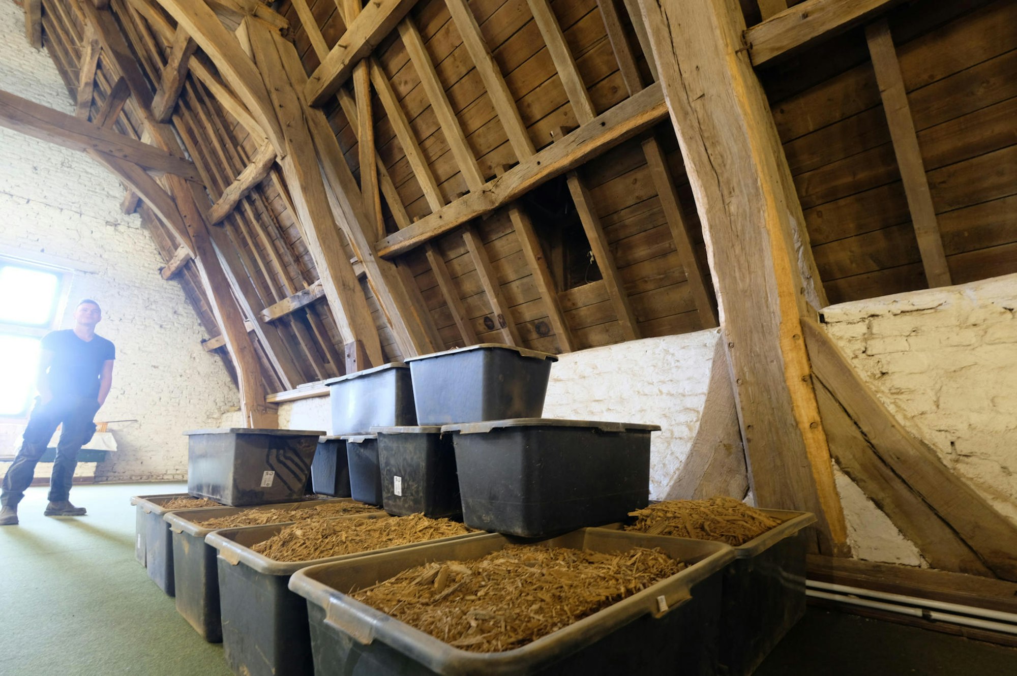 Sanierung an Burg Konradsheim