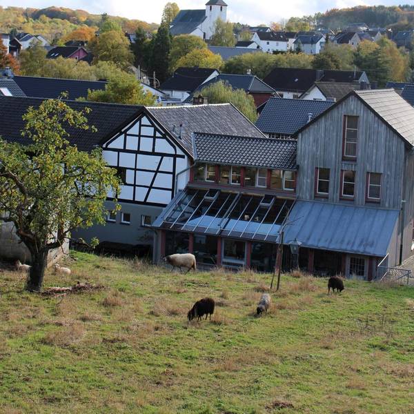 Erholung NETTERSHEIM HC