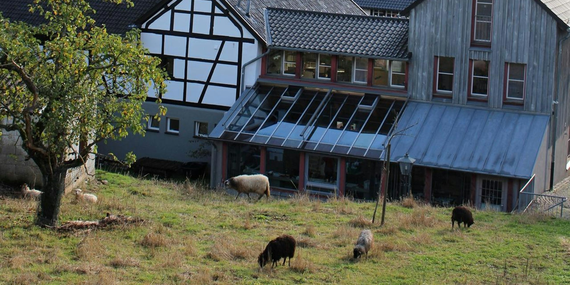 Erholung NETTERSHEIM HC