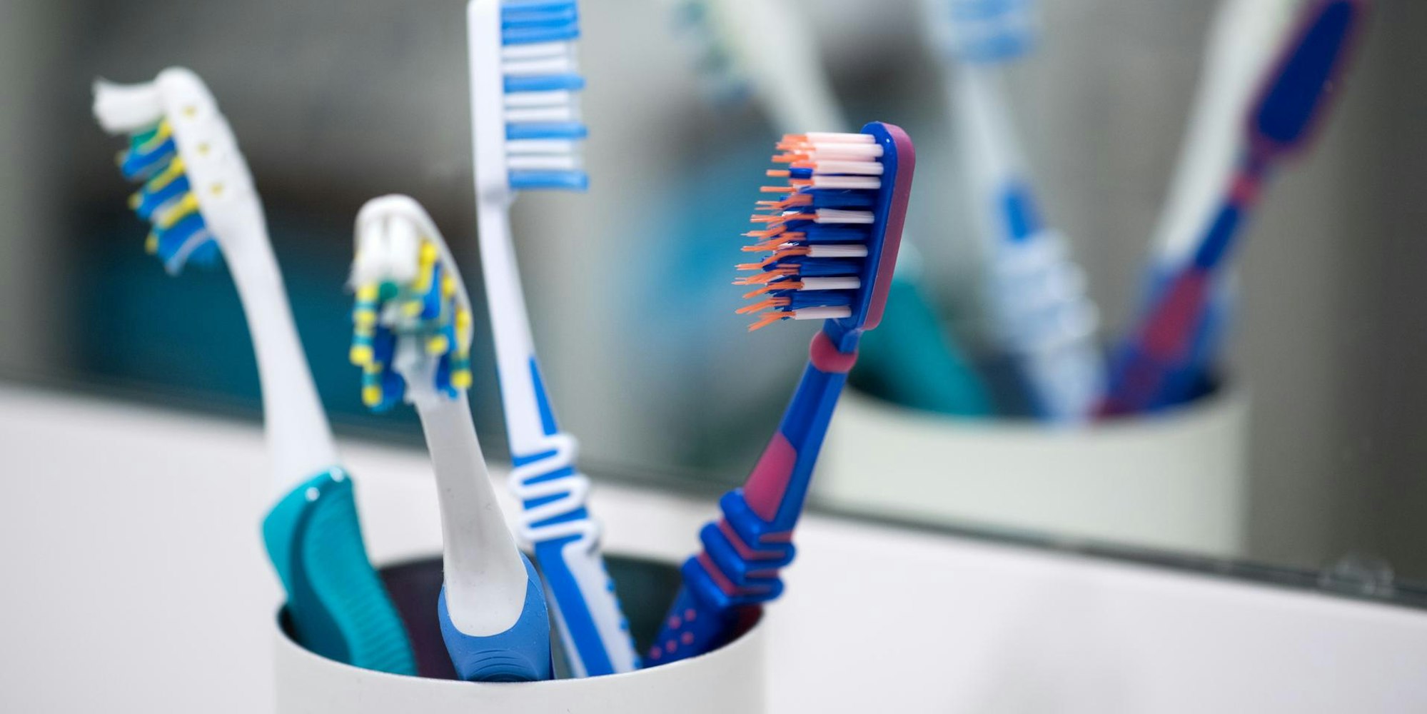 Zahnbüsten stehen in einem Zahnputzbecher