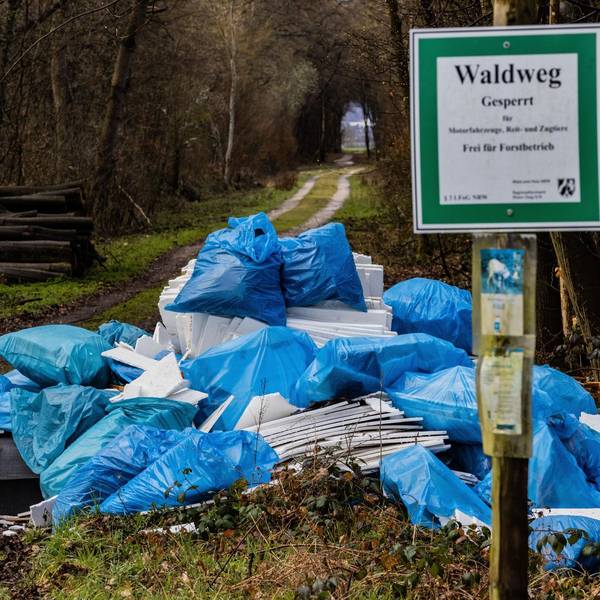 Bauschutt im Naturschutzgebiet