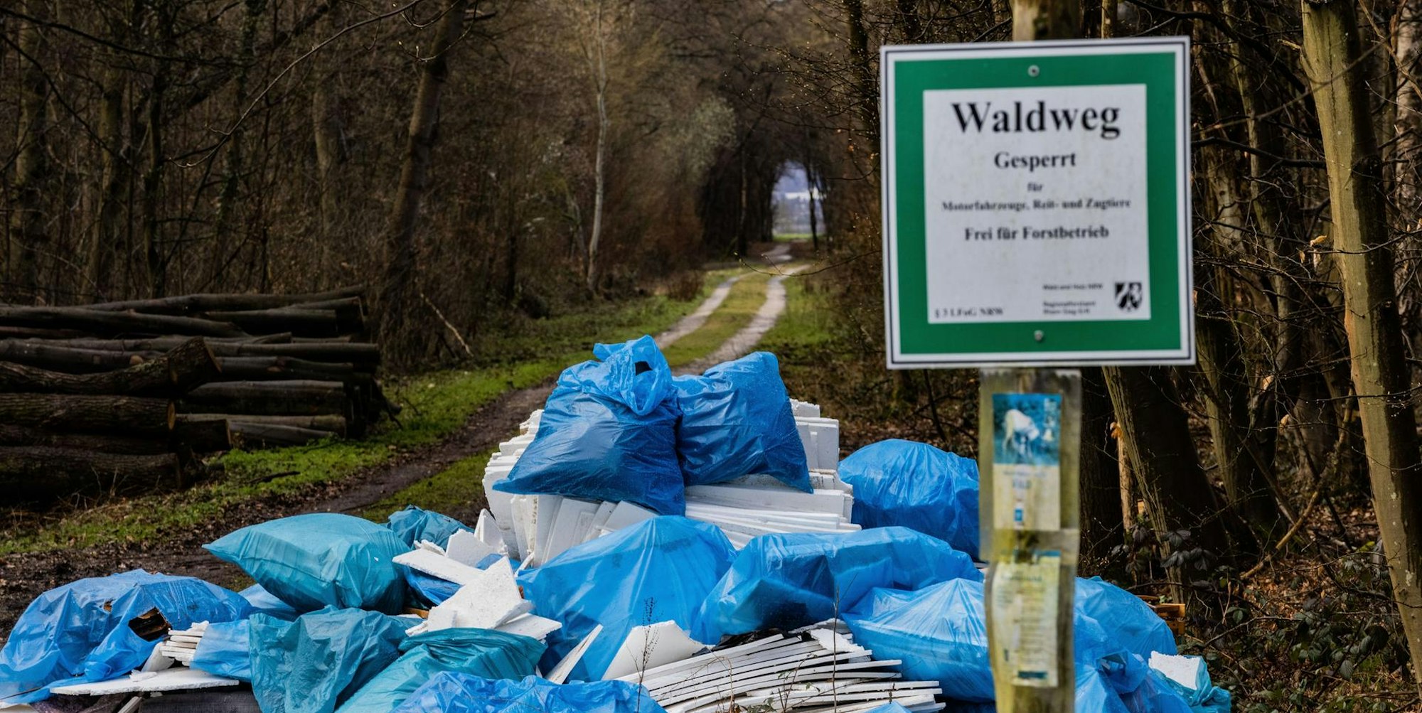 Bauschutt im Naturschutzgebiet