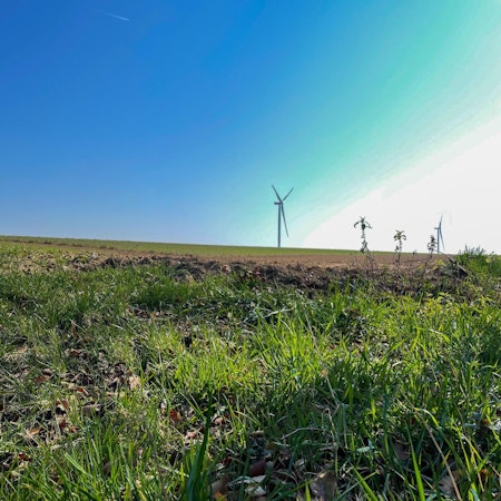 20220323-nip-ber-windraeder-fischbachhoehe