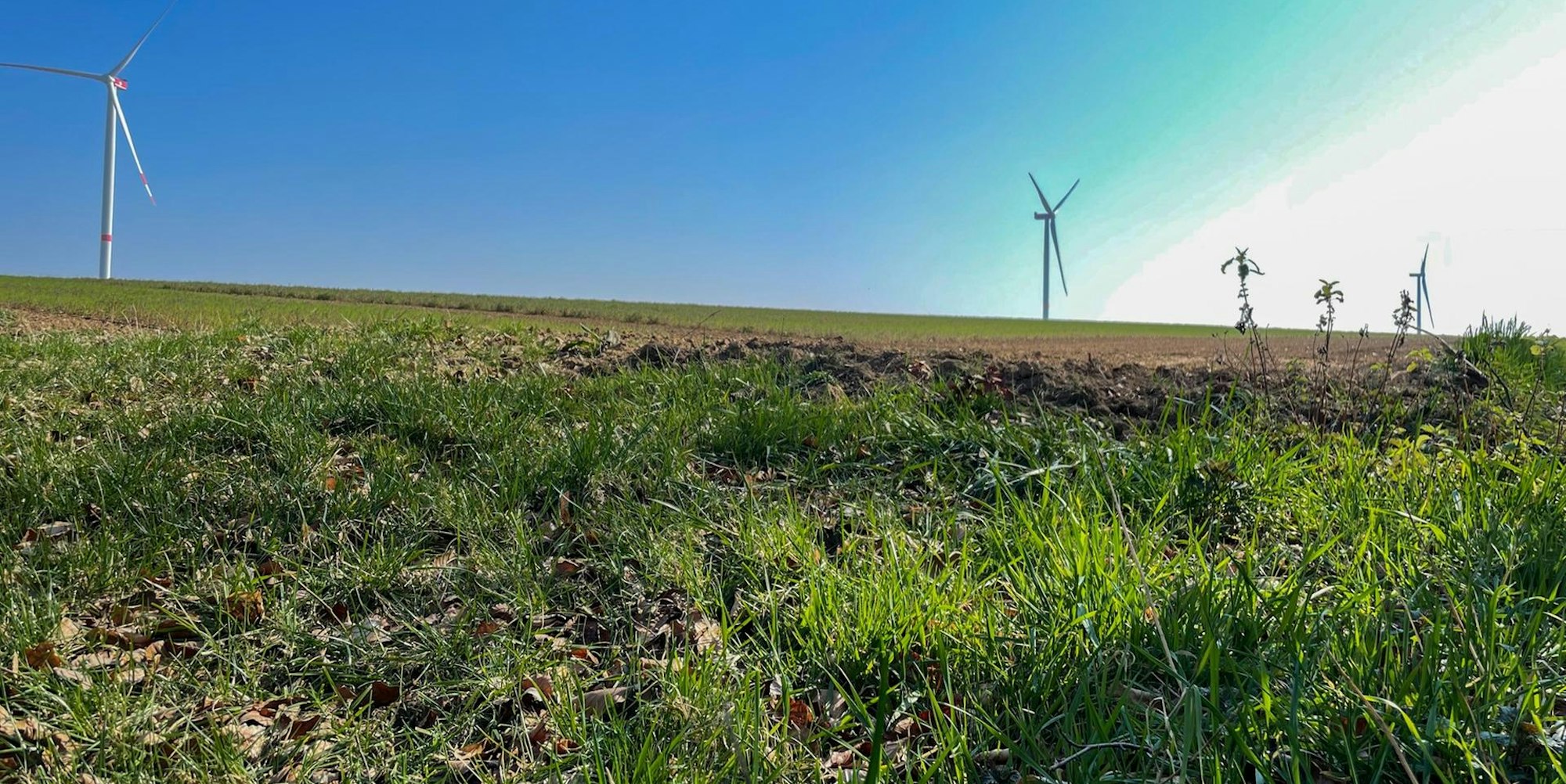 20220323-nip-ber-windraeder-fischbachhoehe