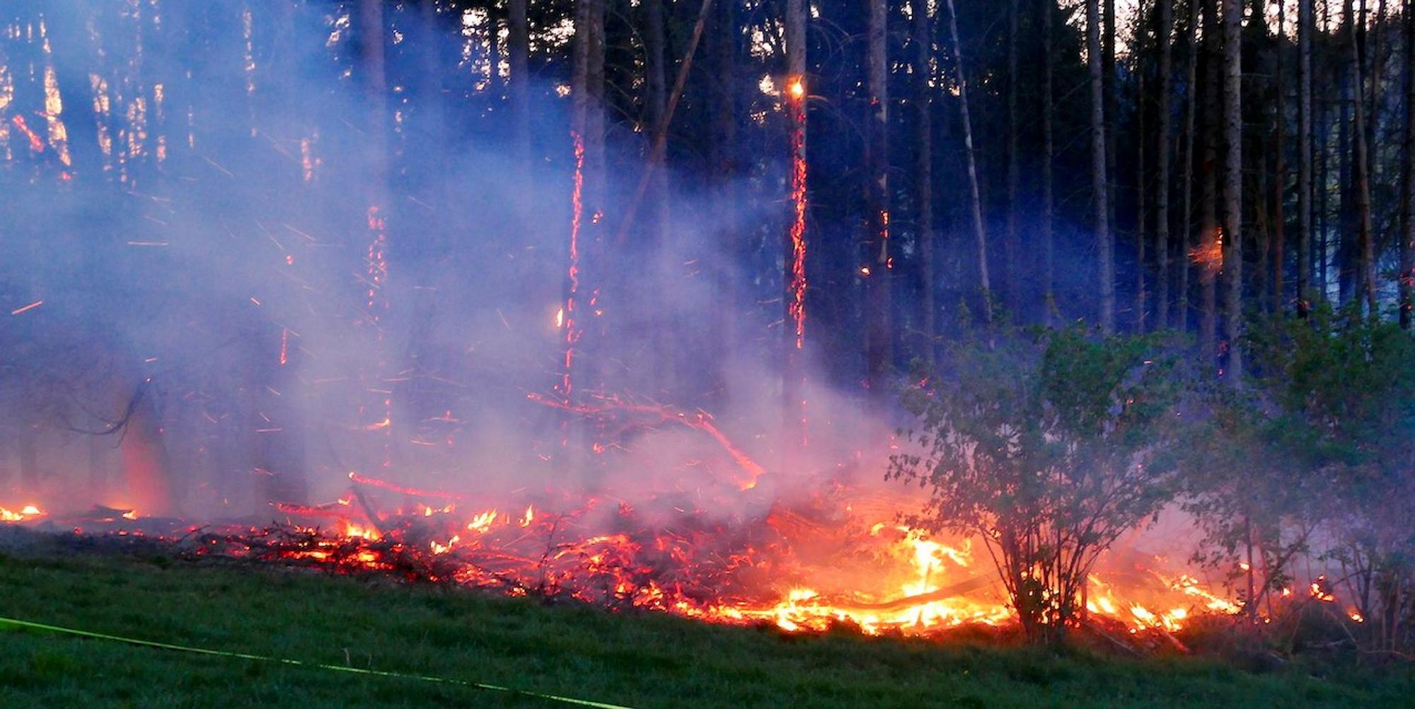 Waldbrand_Much