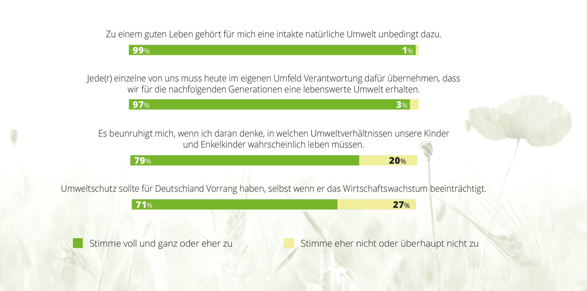 Das gute Leben#4-NGos-Infografik2