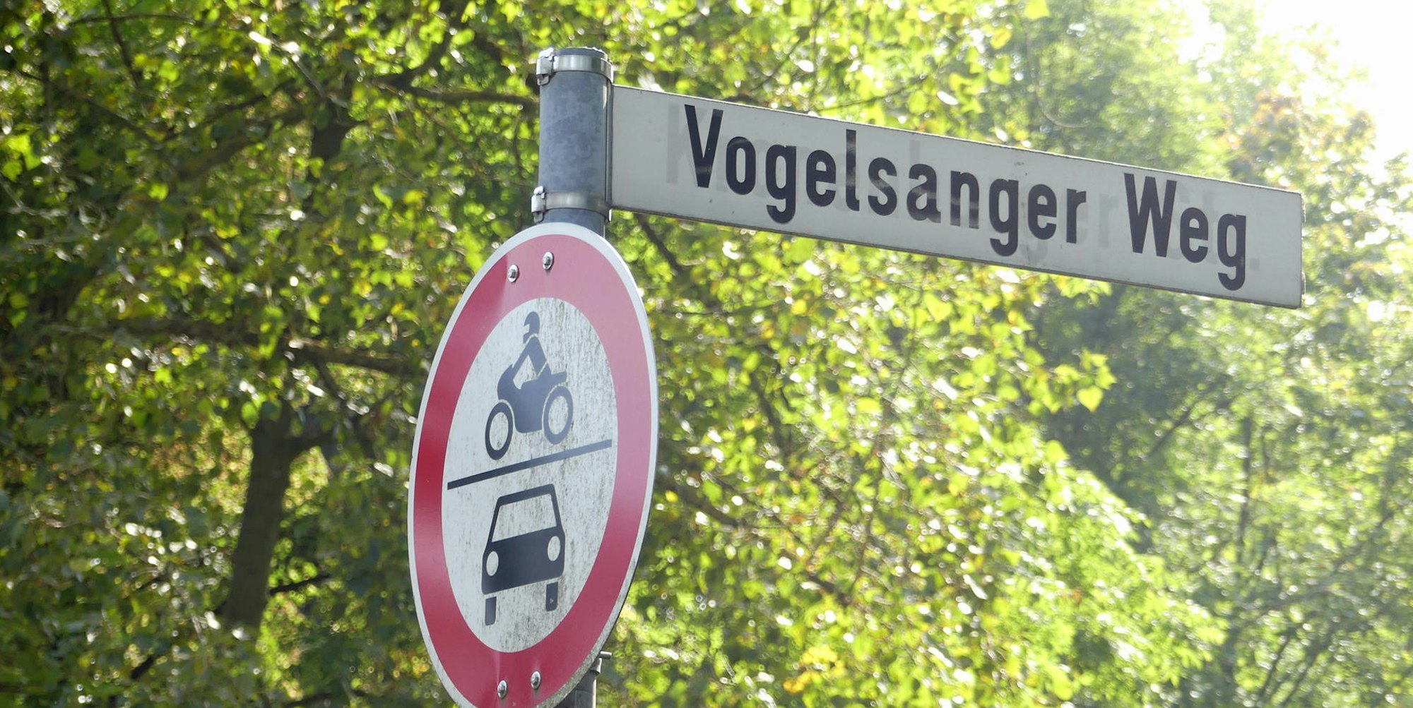 roes-vogelsangerweg-001