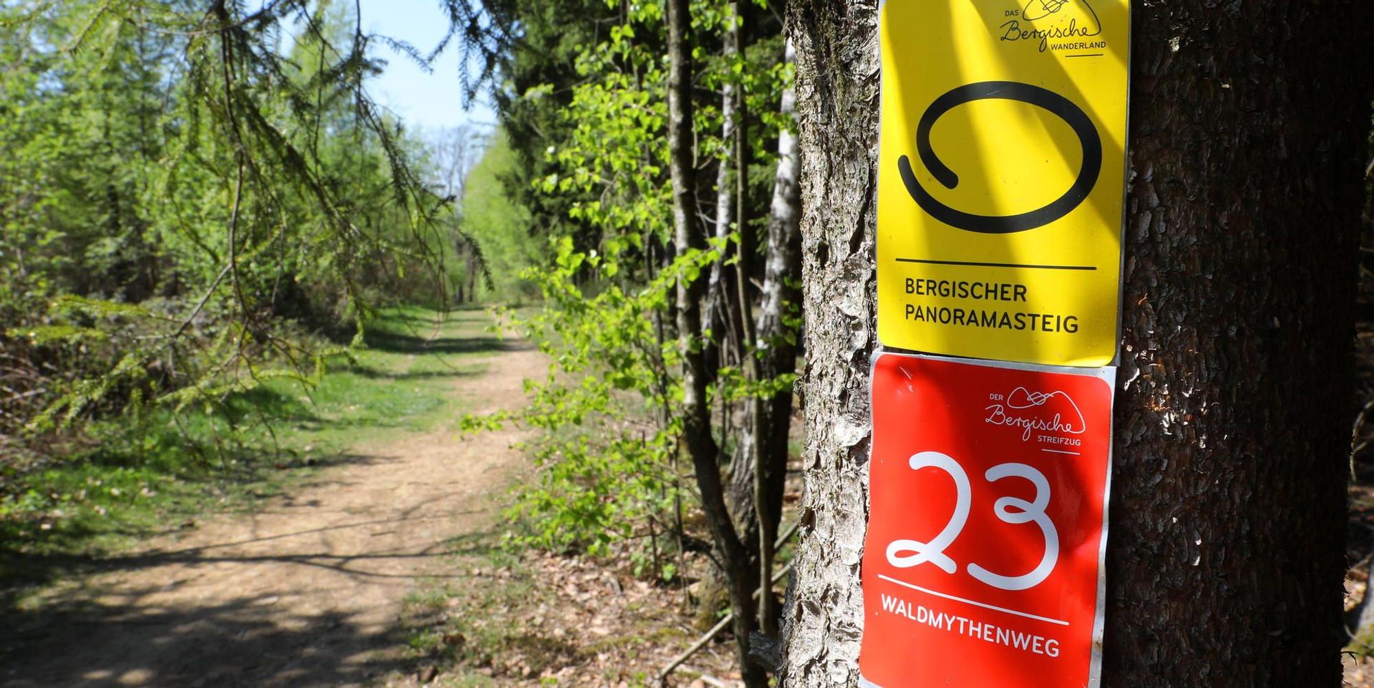 Waldmythenweg_Waldbroel_8448_Frühling
