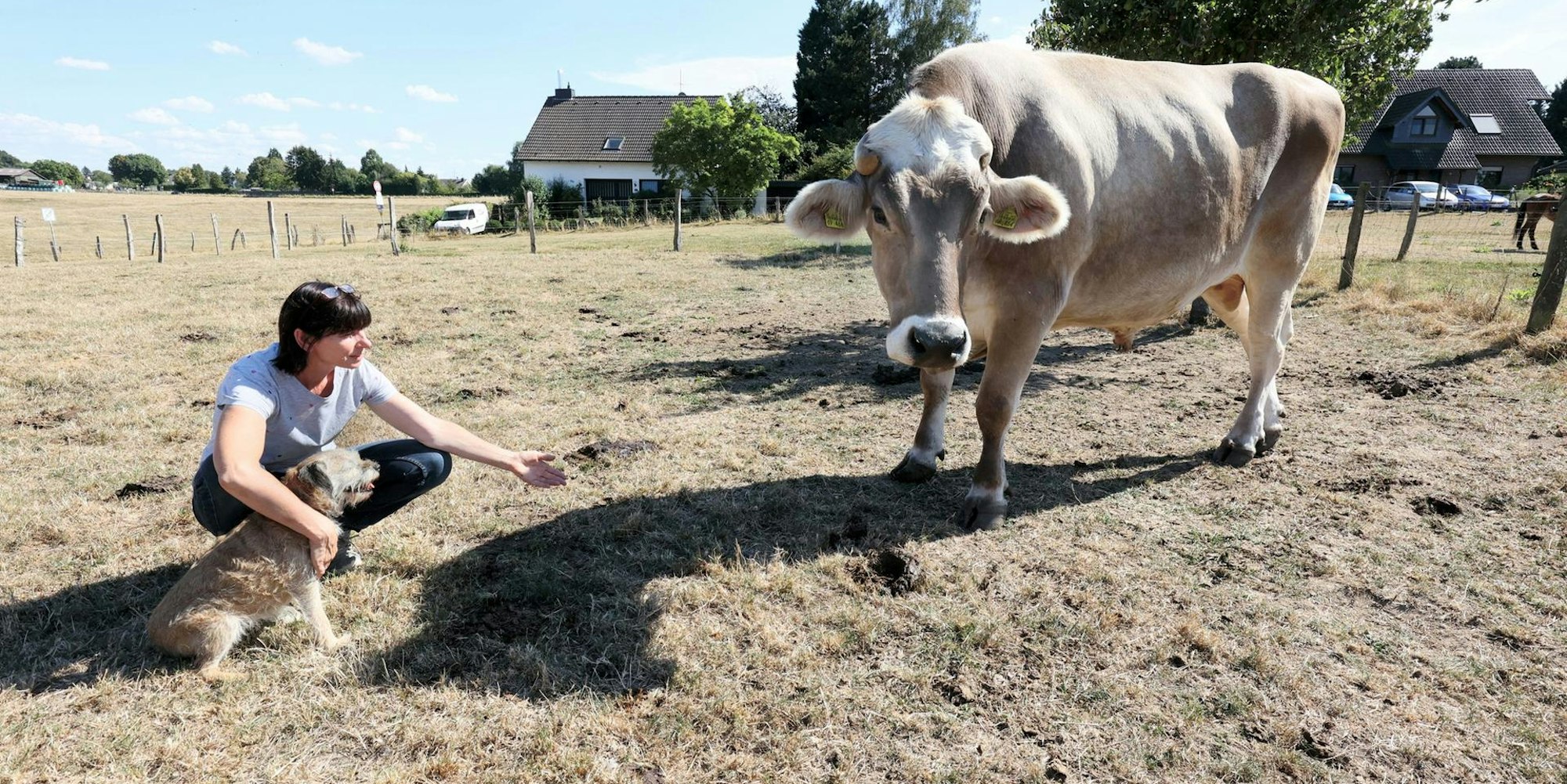 20220906-MW_ Dürre 01