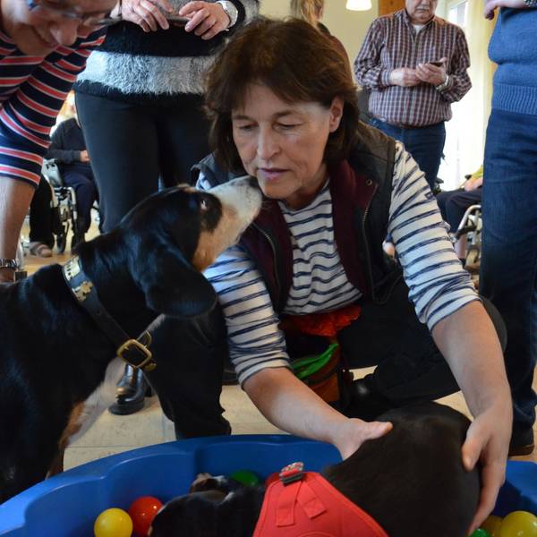 Hundebesuchsdienst_in_Brühl1