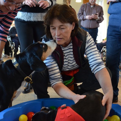 Hundebesuchsdienst_in_Brühl1