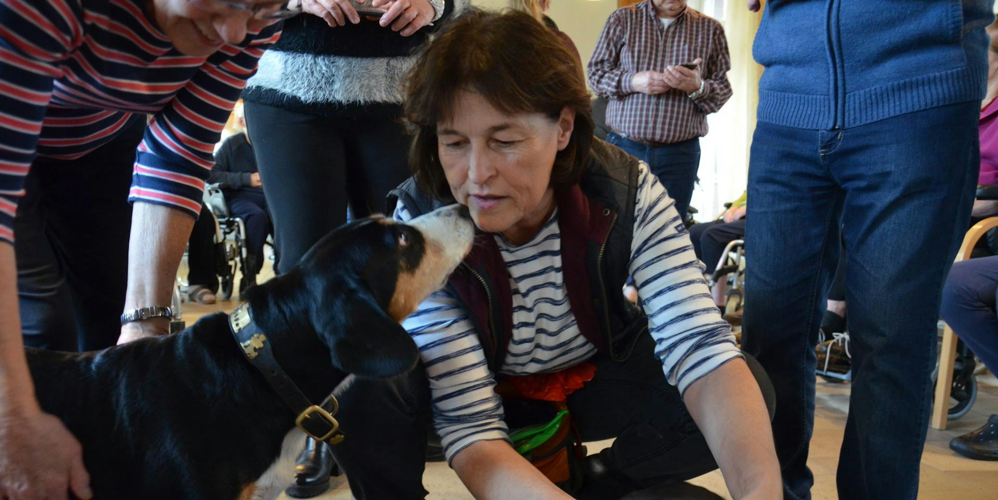 Hundebesuchsdienst_in_Brühl1