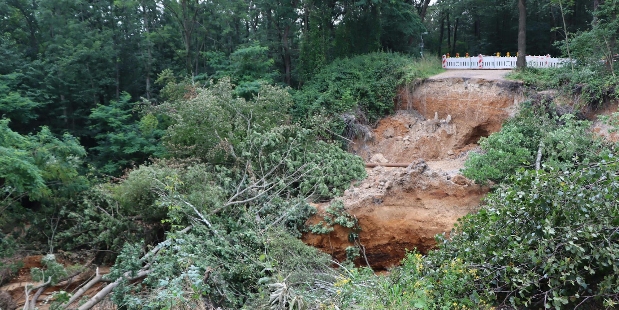 Brühl Waldweg abgerutscht II