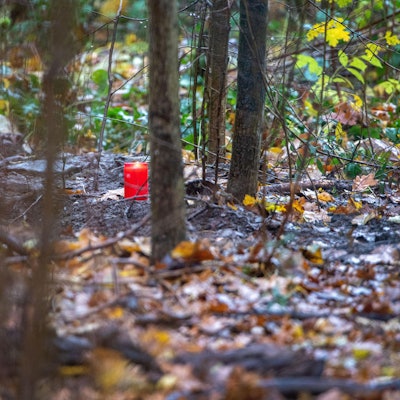 Leiche im Wald Symbol