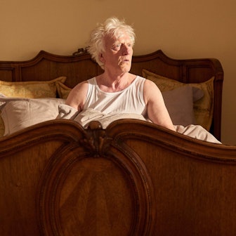 König_von_Köln_Hoppenheim