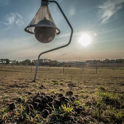 insektenfalle_leichlingen_ALF_9187