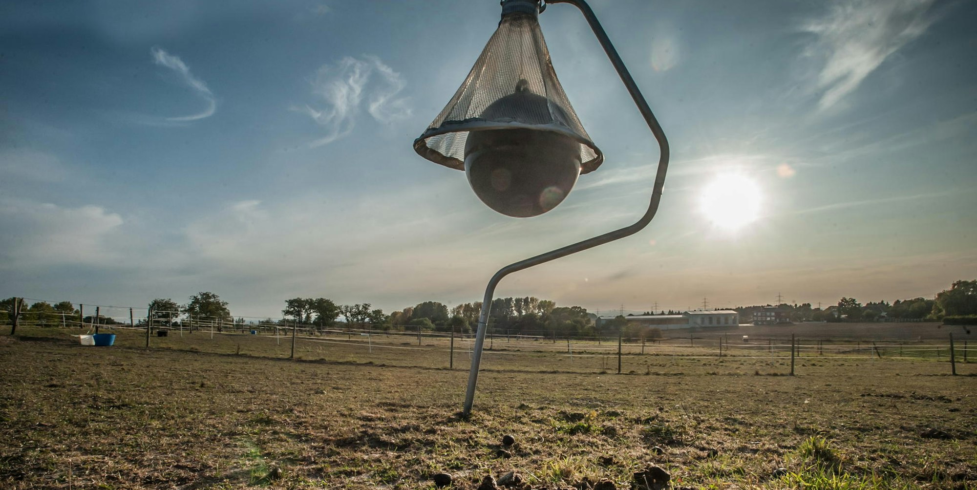 insektenfalle_leichlingen_ALF_9187