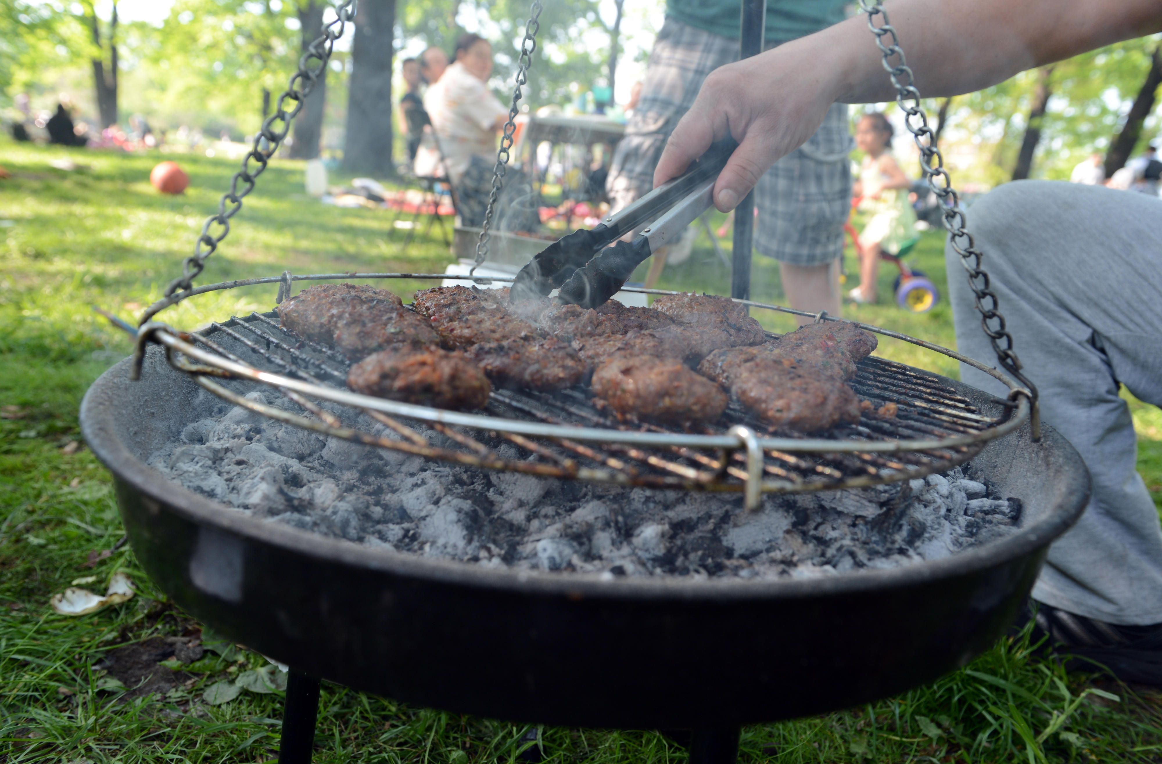 Grillen Schwenkgrill