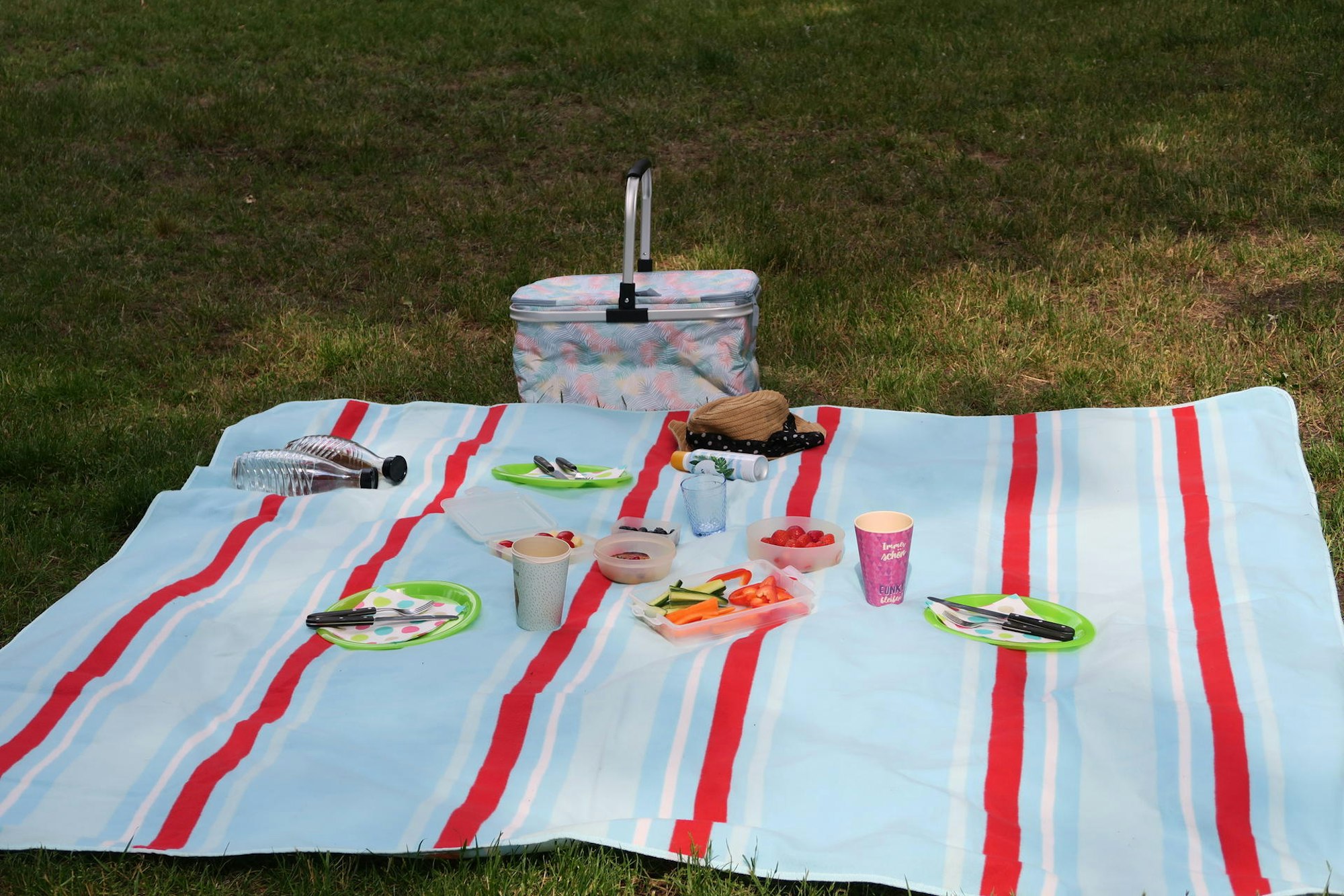 Picknick_Ein_sommerliche_dpa65896455