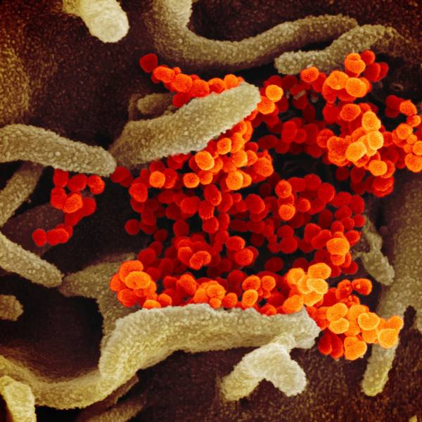 Coronavirus SYMBOL DPA 190922