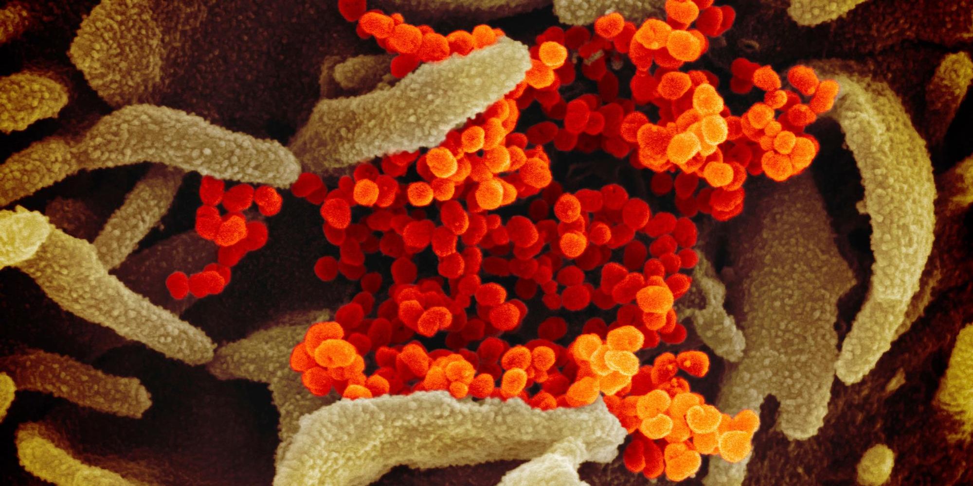 Coronavirus SYMBOL DPA 190922