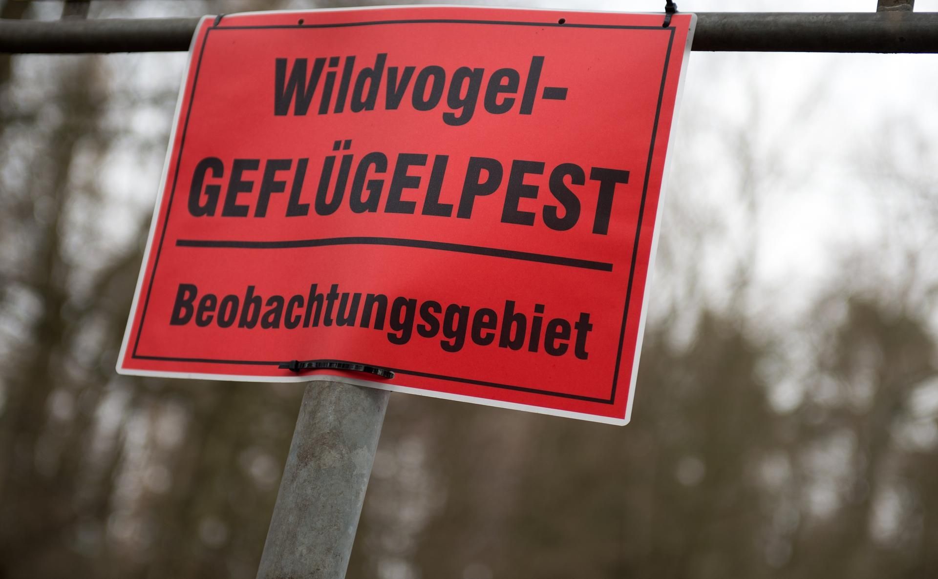 Neuer Inhalt