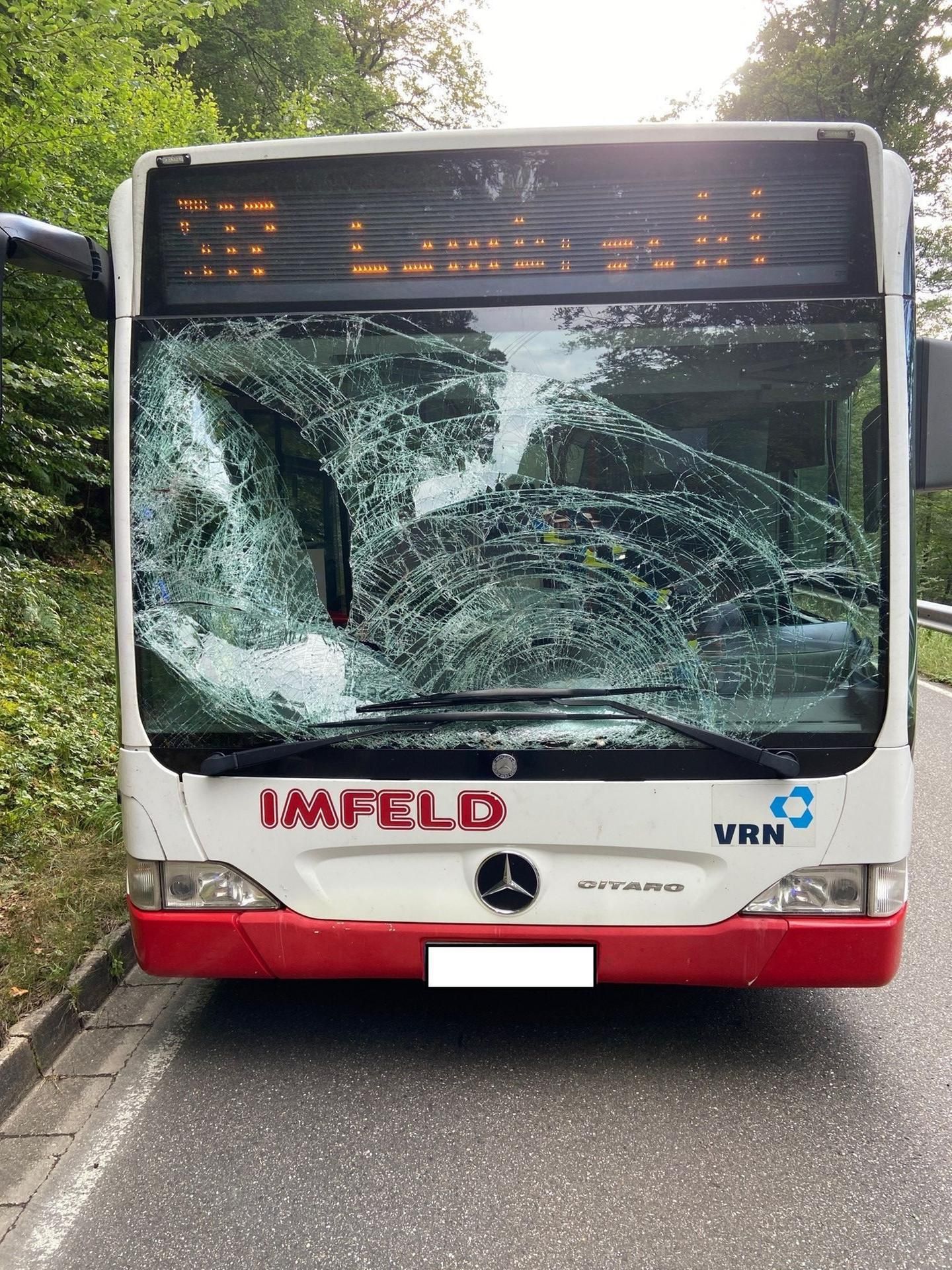 Bus Pfalz