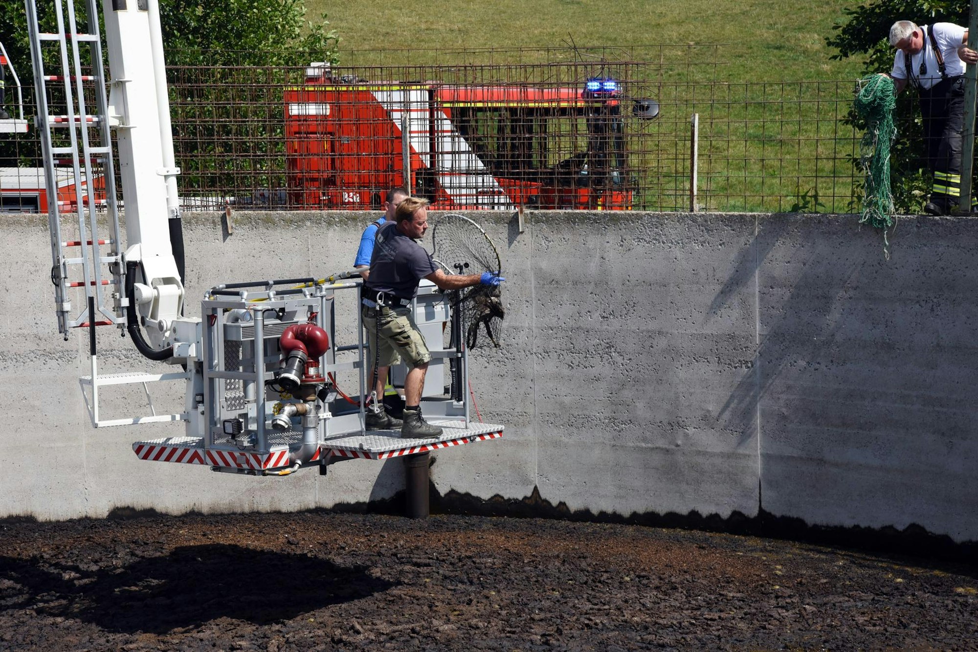 20220816_ds_Greifvogel_RettungAusGuellebecken_Breidenbach_Lindlar3