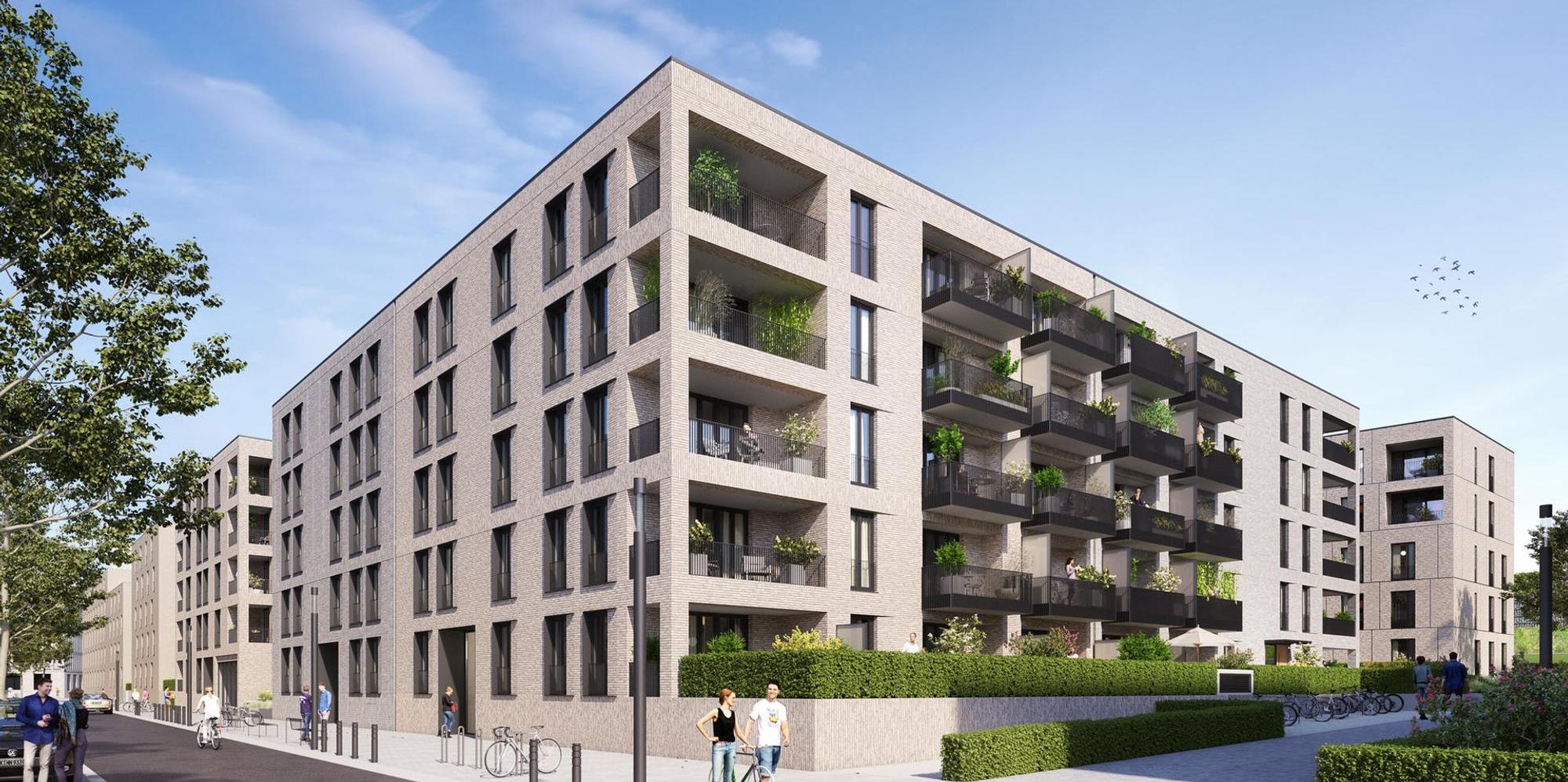 Pandion Ehrenfeld