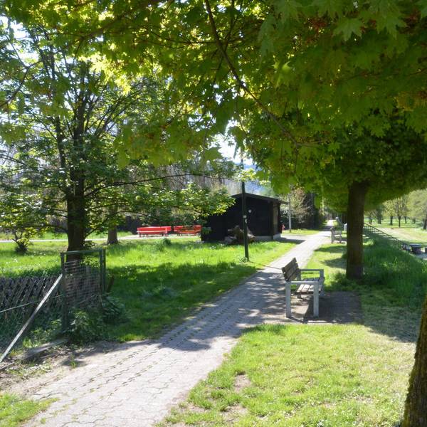 Neuer Inhalt