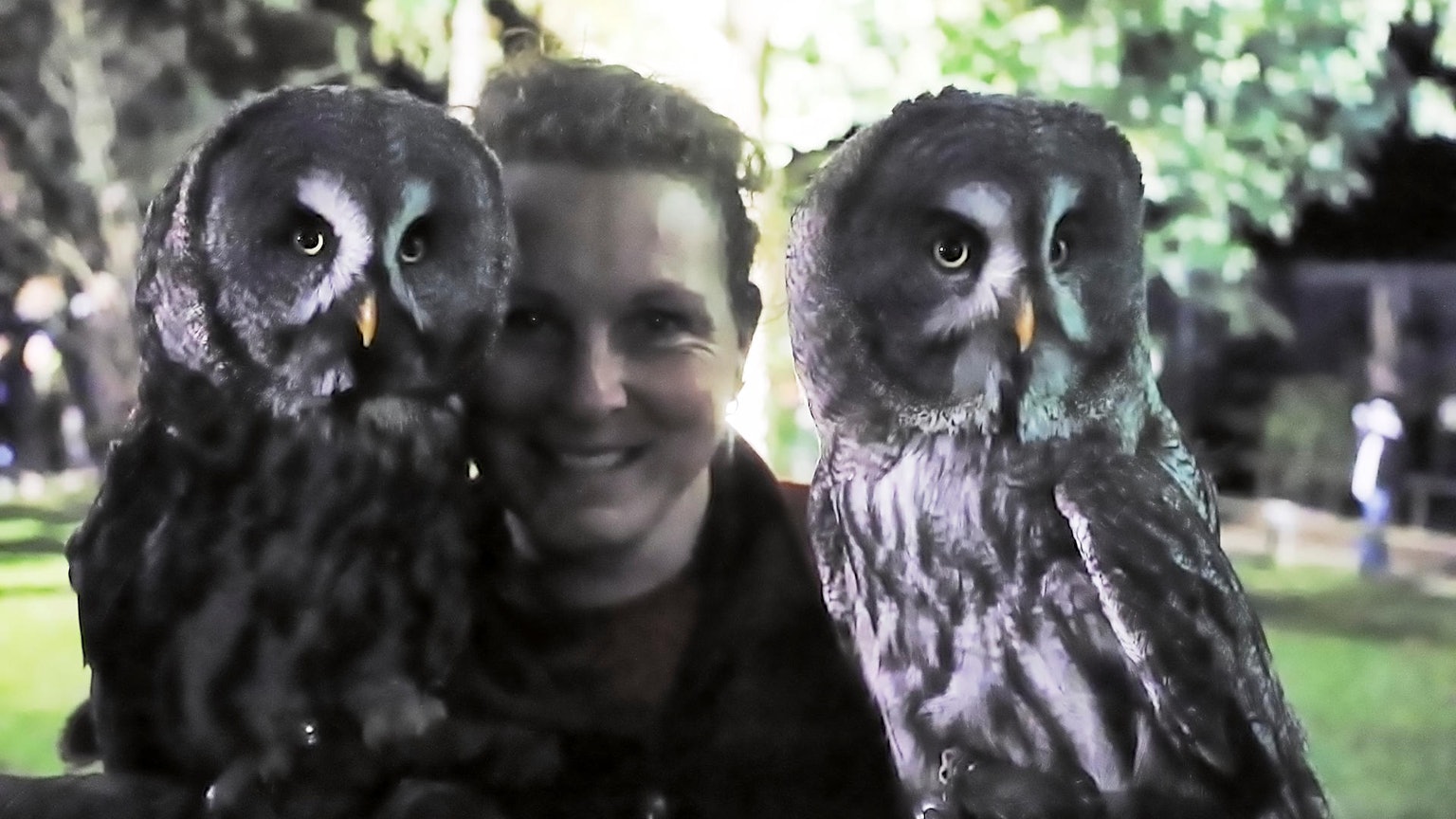 Hellenthal Hubertusnacht