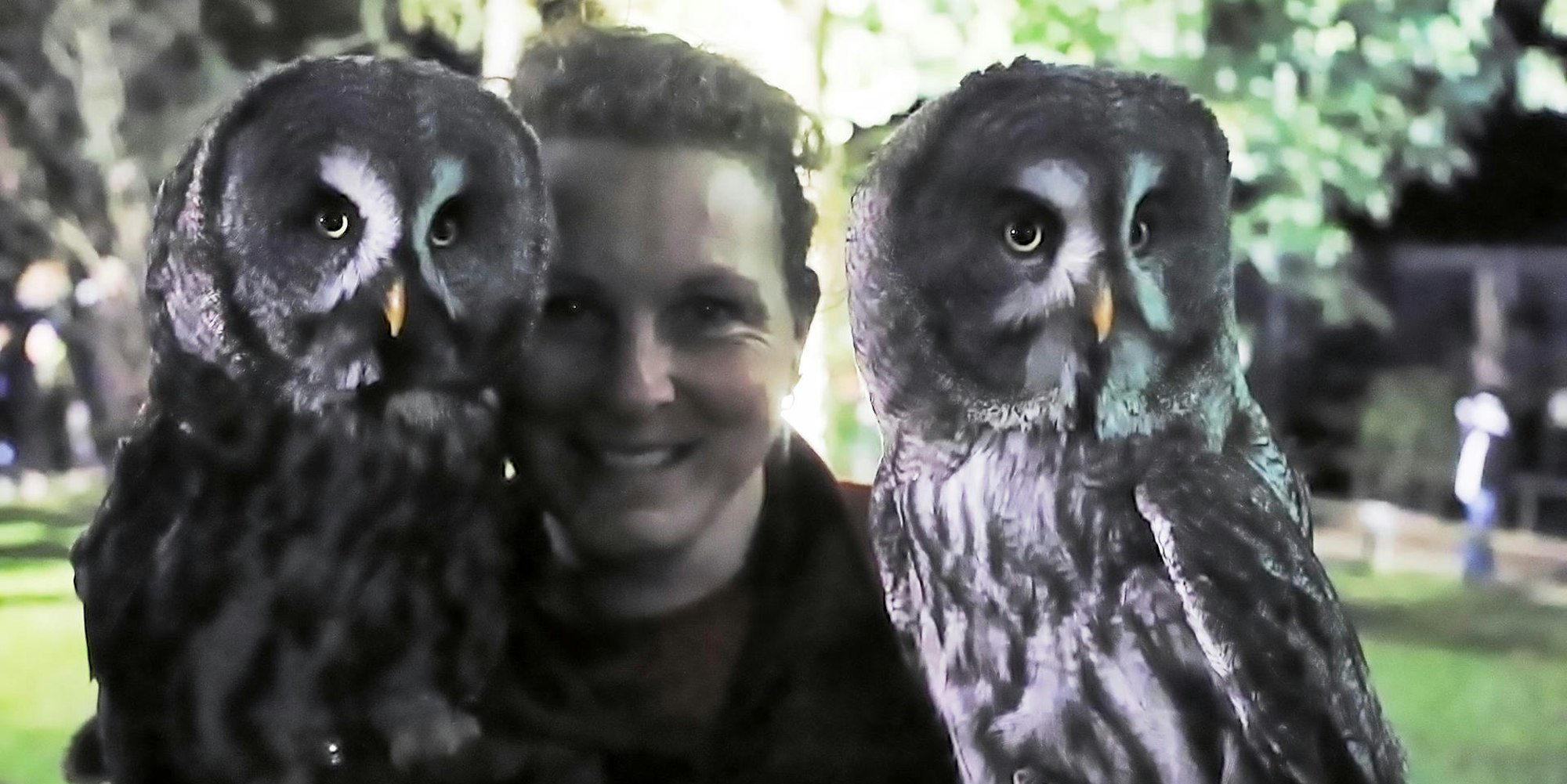 Hellenthal Hubertusnacht