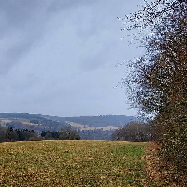 Bauland_001